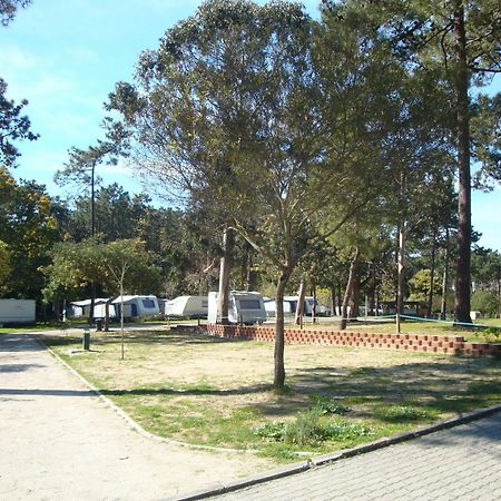 Orbitur Caminha Bungalows - Caravan Park מראה חיצוני תמונה