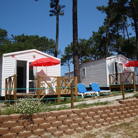 Orbitur Caminha Bungalows - Caravan Park מראה חיצוני תמונה