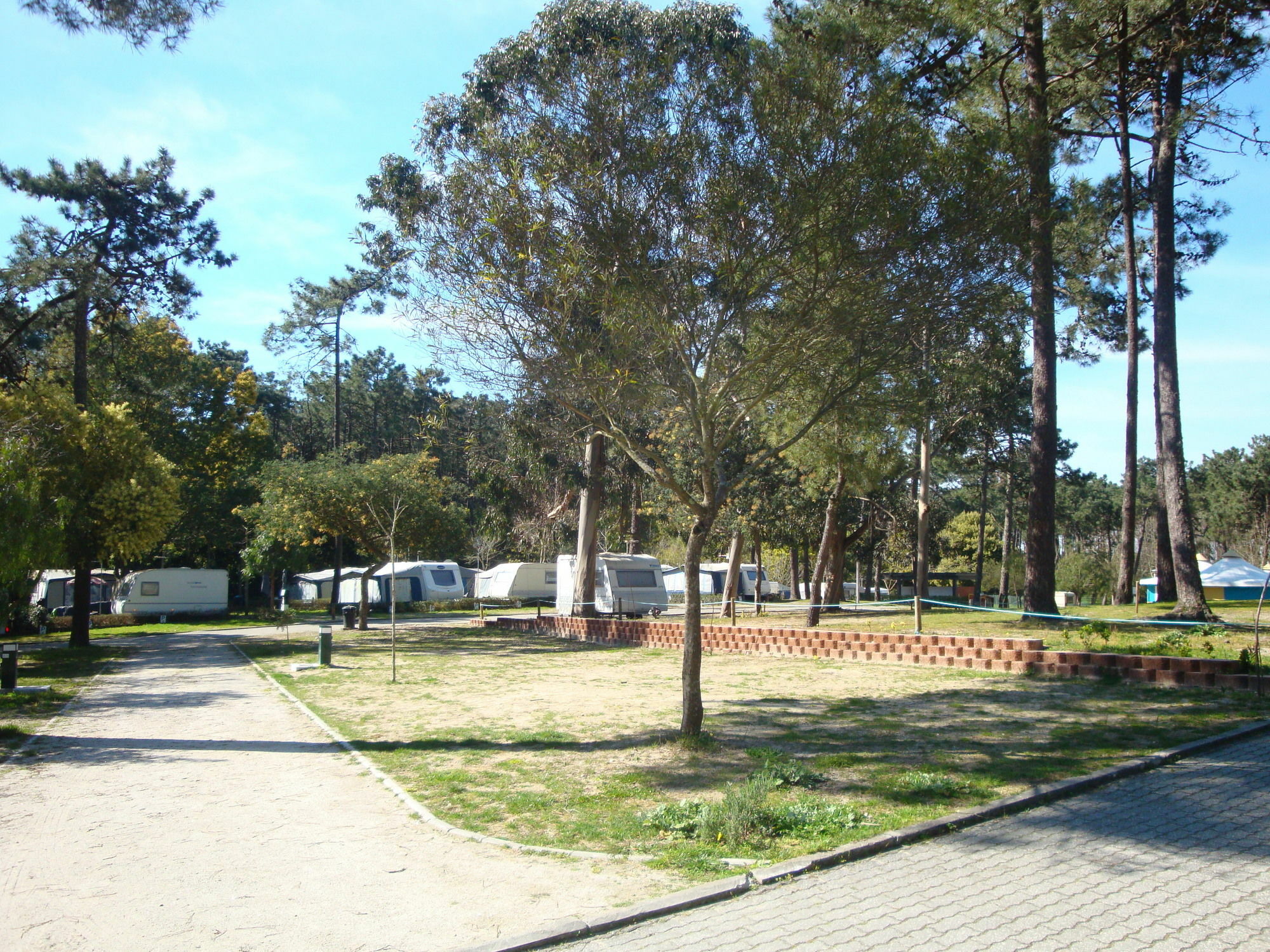 Orbitur Caminha Bungalows - Caravan Park מראה חיצוני תמונה