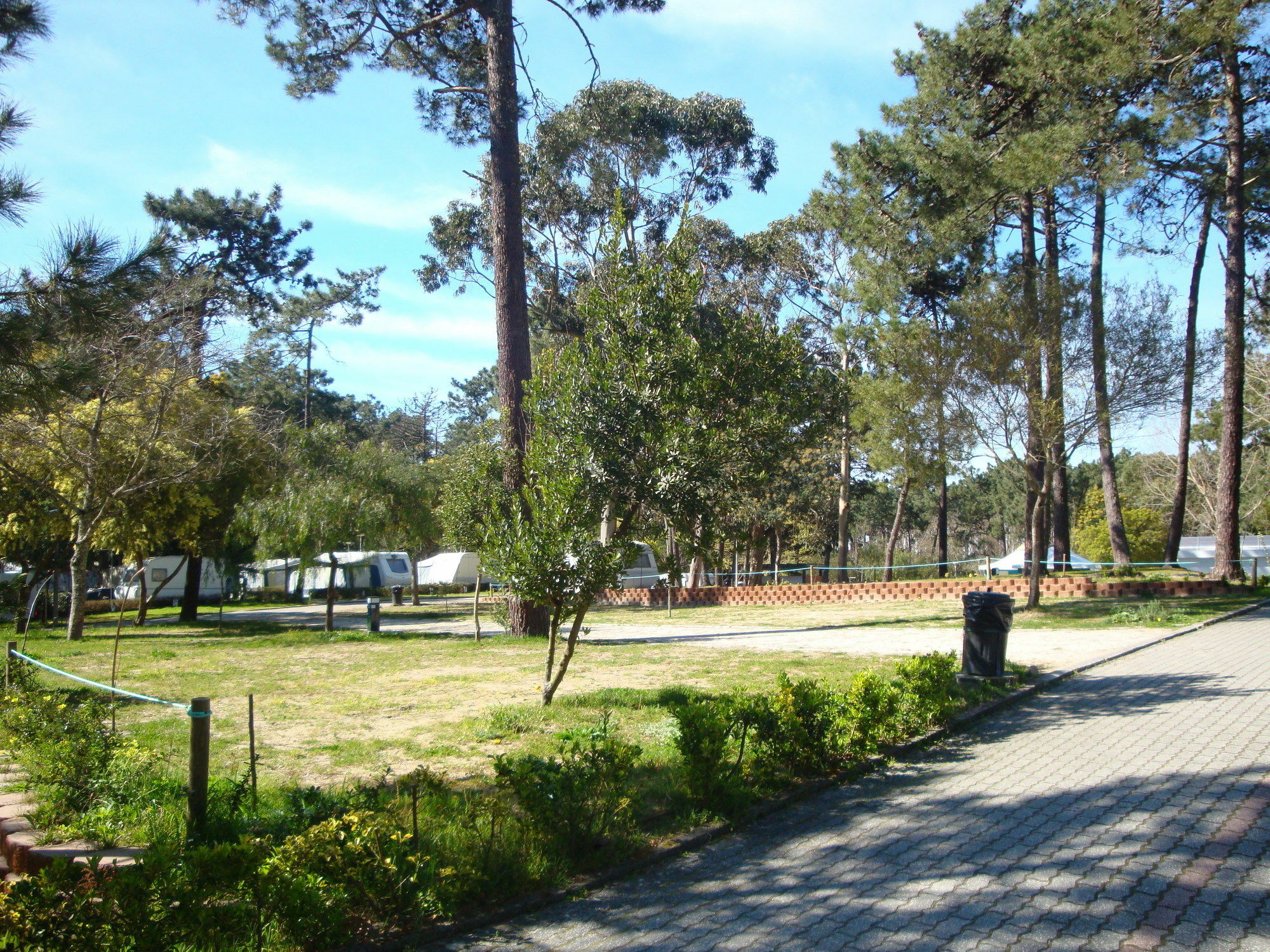 Orbitur Caminha Bungalows - Caravan Park מראה חיצוני תמונה